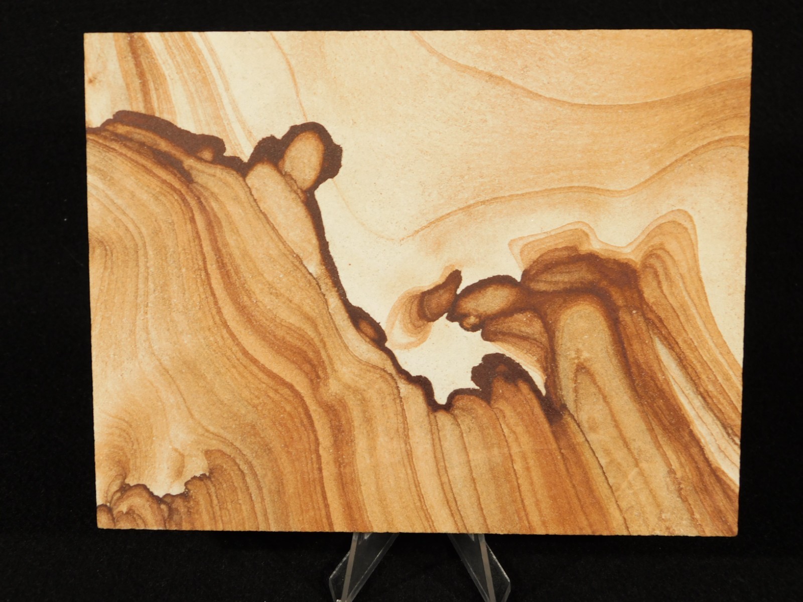 LARGER! PICTURE Stone or SANDSTONE Slice/Slab with Display Stand Utah 447gr