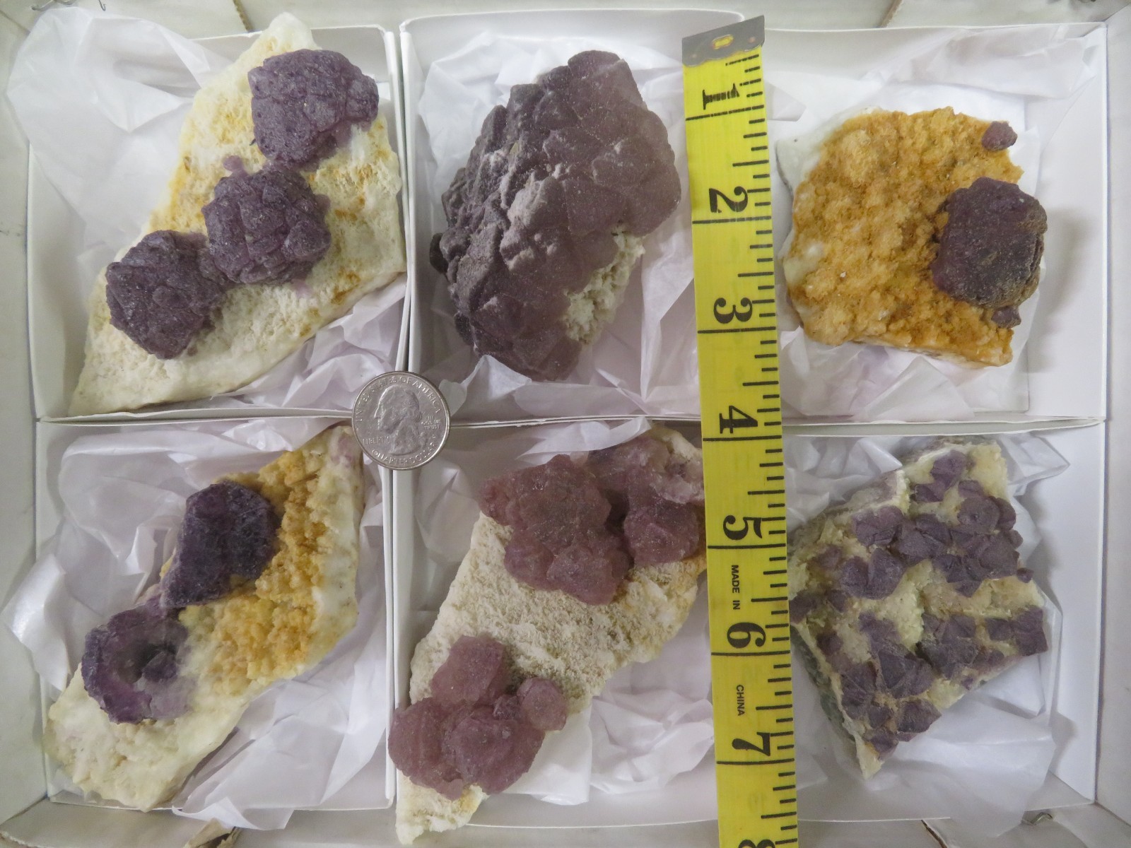6 Piece Deep Purple Fluorite on Quartz Specimen Flat La Lupita Durango Mexico