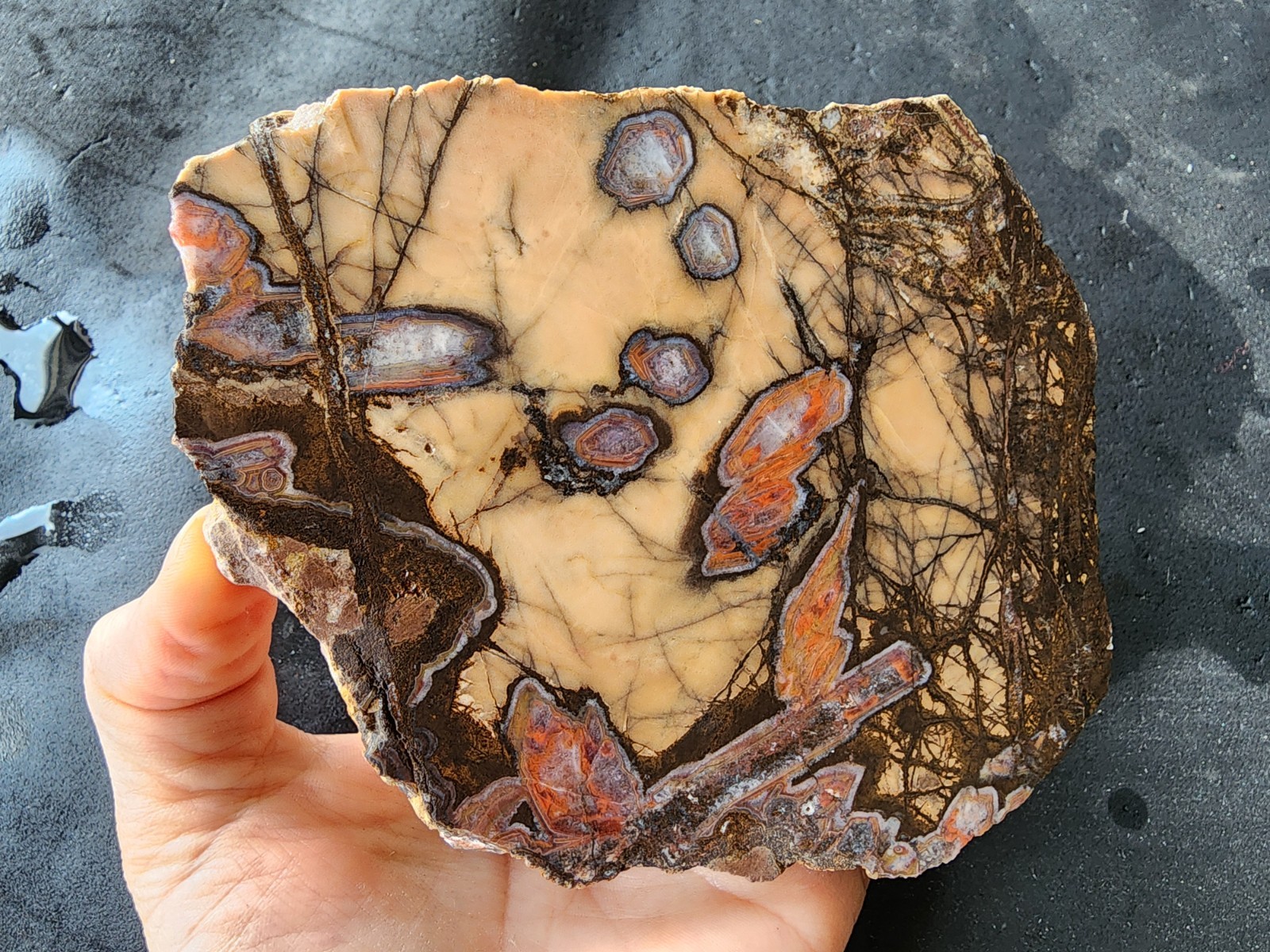 3.3 lbs (1.5 kg) Unpolished Agate, Almus Agate, Large Agate Pair, アゲートのペア, العقي