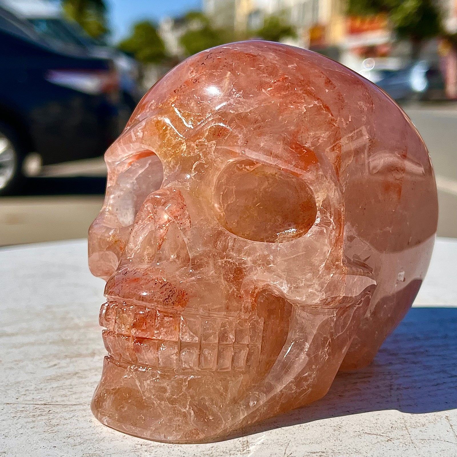 2.53LB Natural dreamy red gum flower skull hand carved skull healing