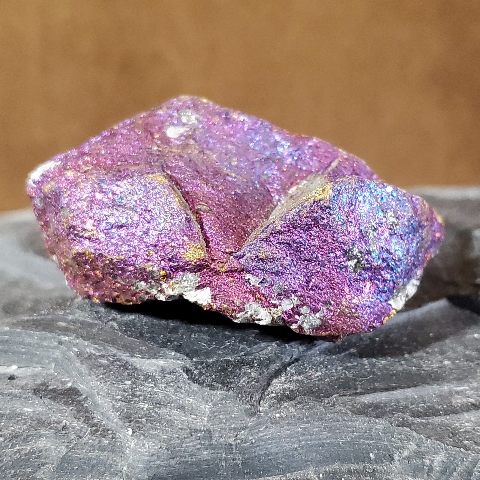 (M2) Iridescent Chalcopyrite From Mexico 2.25×1.5×0.75Inches