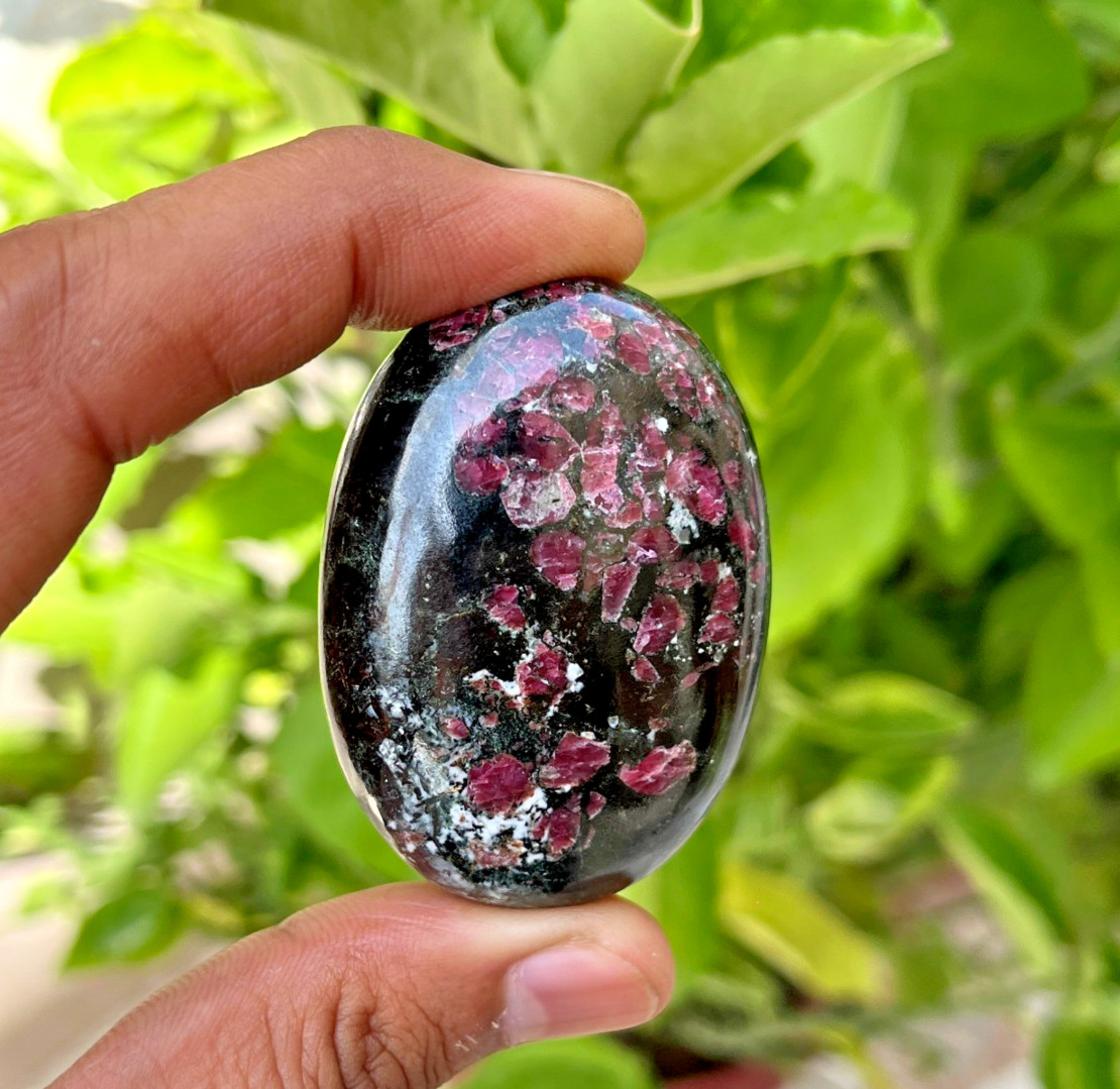 Natural Eudialyte Palm Stone 100g Polished Crystal Healing Gemstone 57x39mm