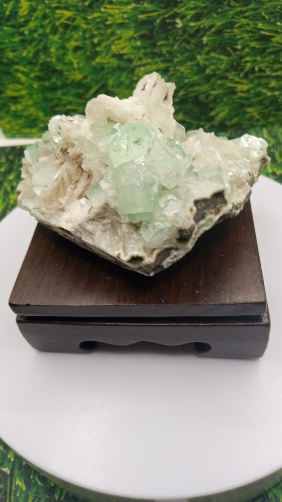 Green Fluorapophyllite w/ Apophyllite & Stilbite / Cherry Wood Stand ~ INDIA ~