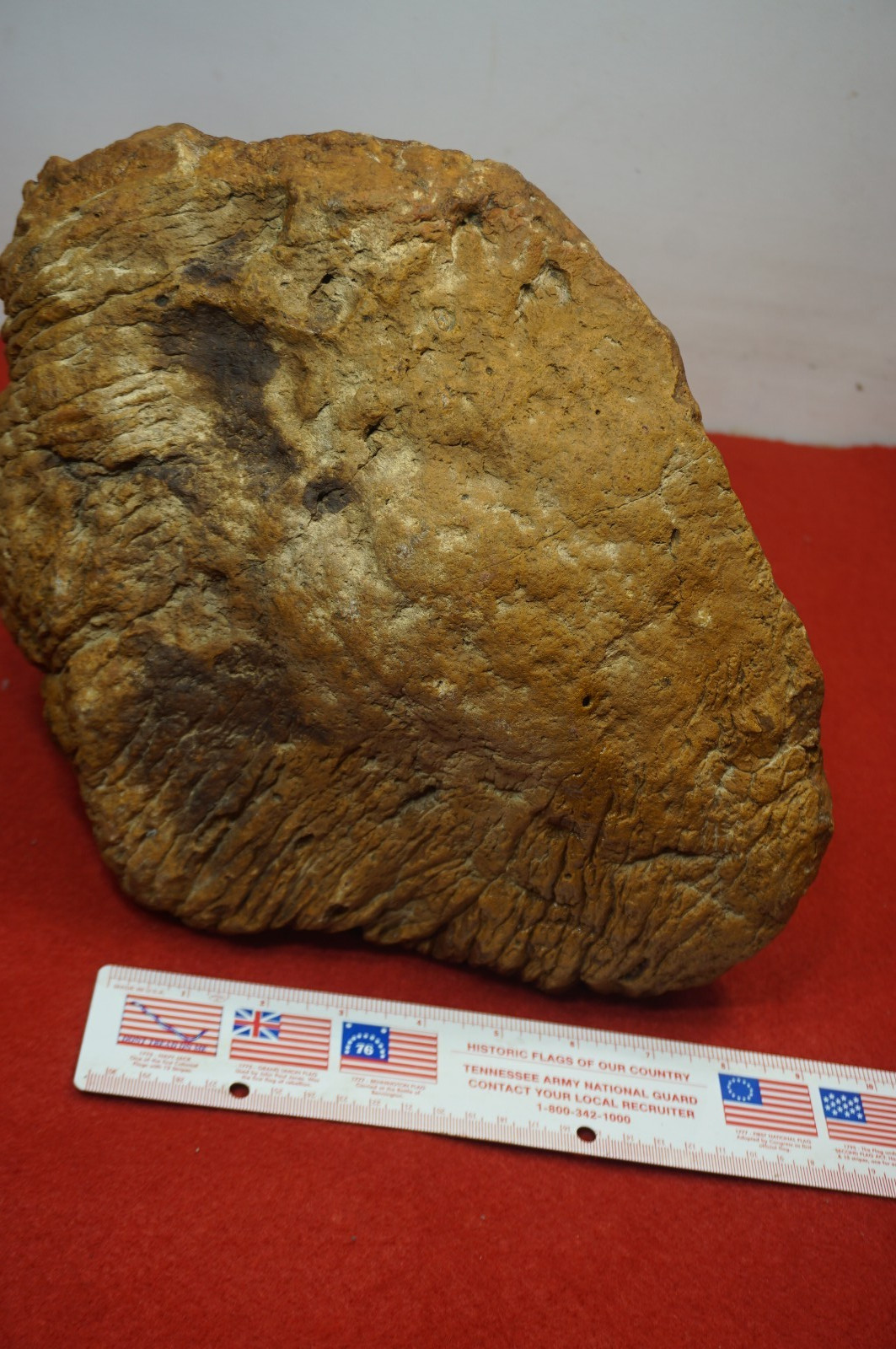 HUGE 30 Lbs. Kentucky Geode
