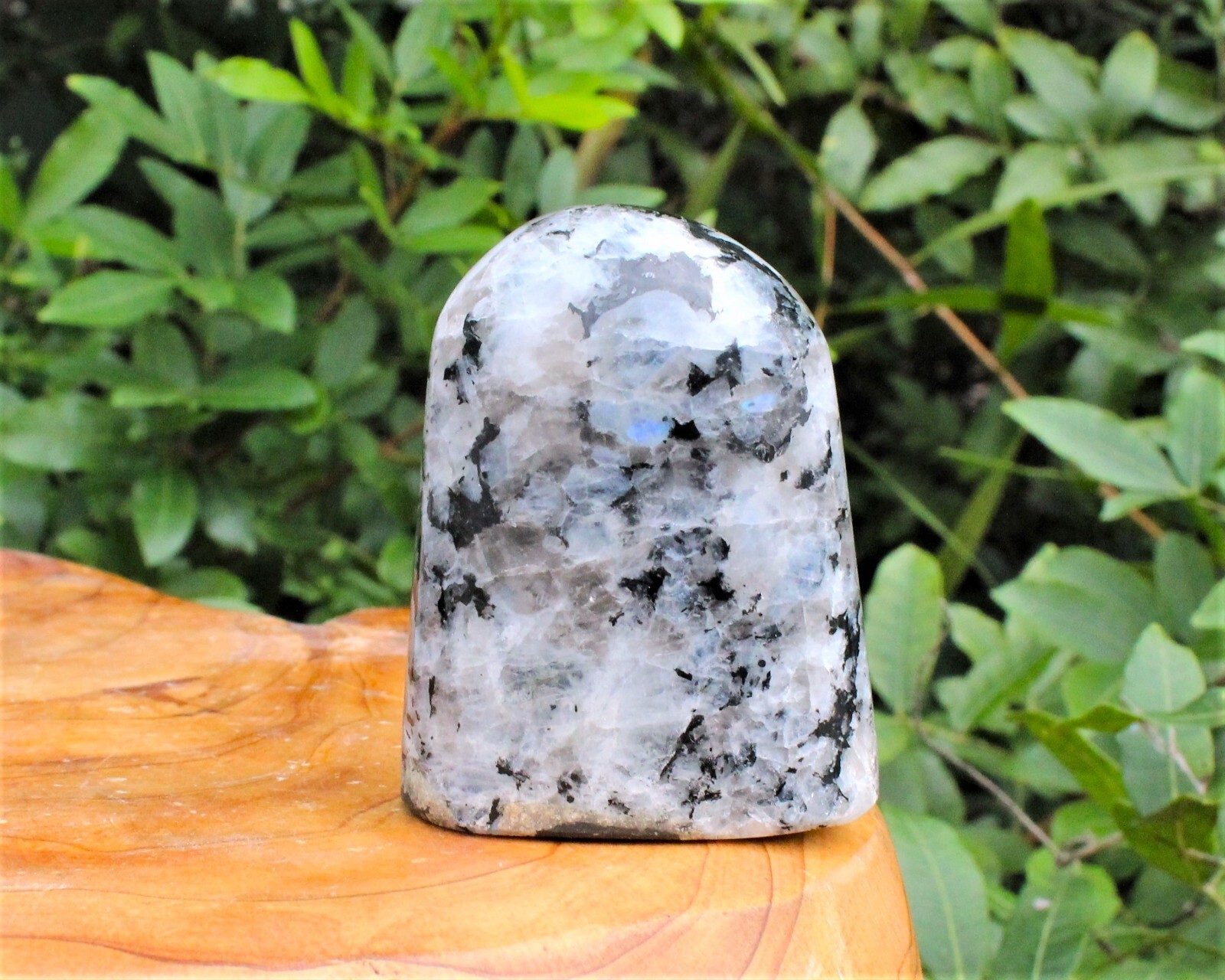 Polished Rainbow Moonstone Freeform – Free Standing Rainbow Moonstone Crystal
