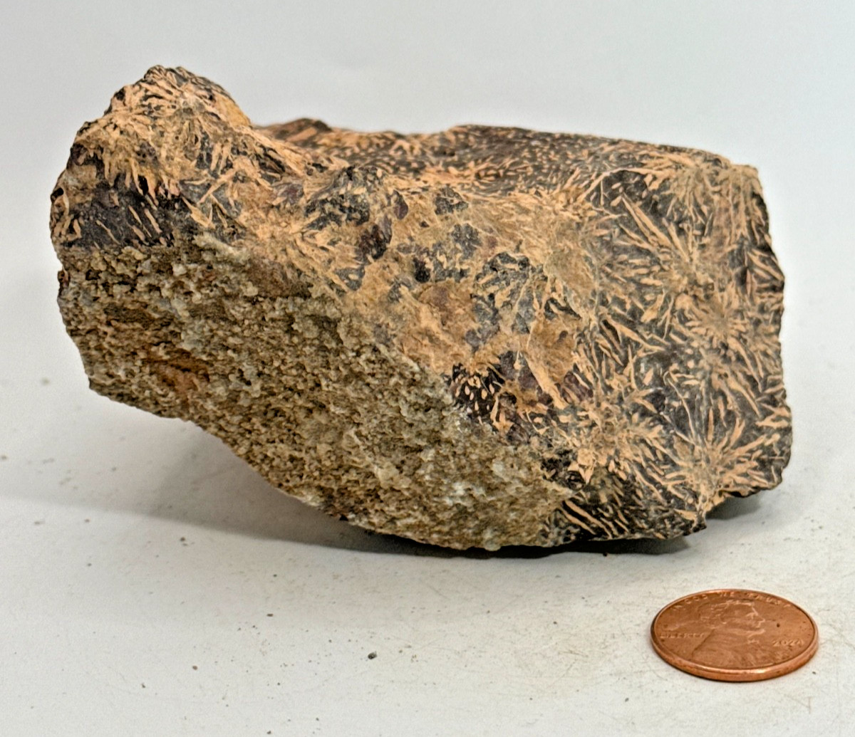 Beautiful Spider Jasper Chrysanthemum Specimen 430 Grams