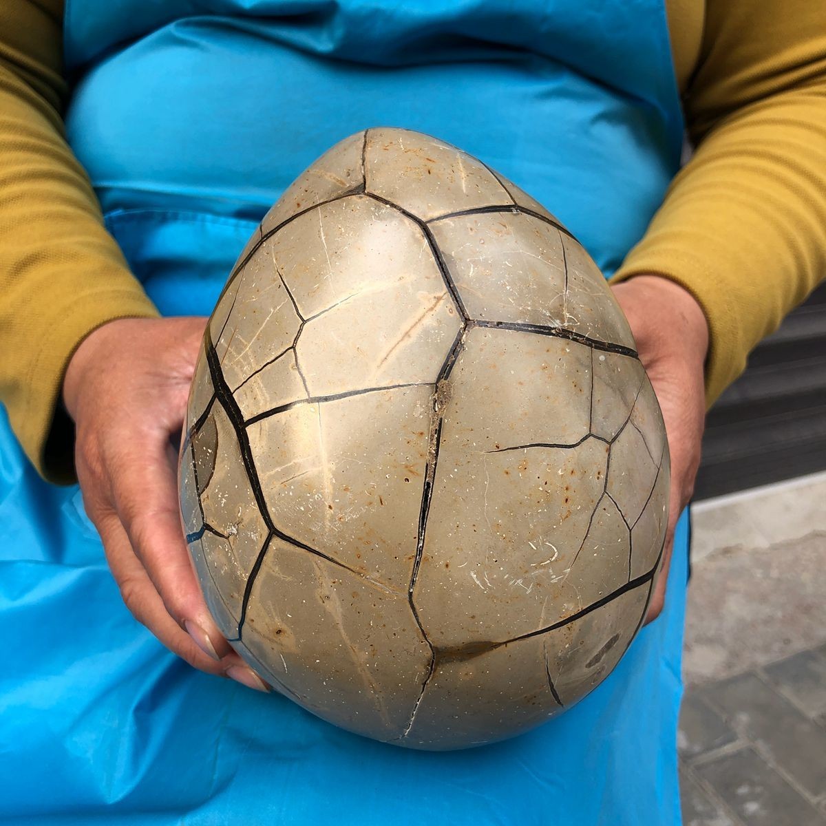7.23LB Natural Septarian Dragon Egg Geode with Lid Reiki Energy Healing Crystal