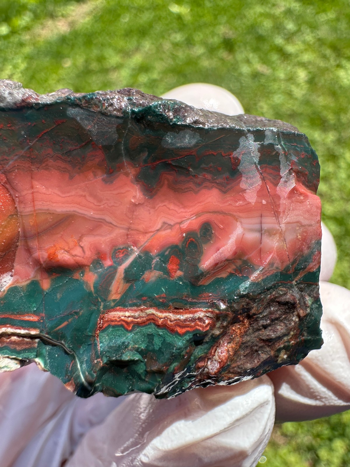 PREMIUM SPECIMEN__RARE Idaho Sunset Jasper / Agate Rough – Lemhi County, Idaho