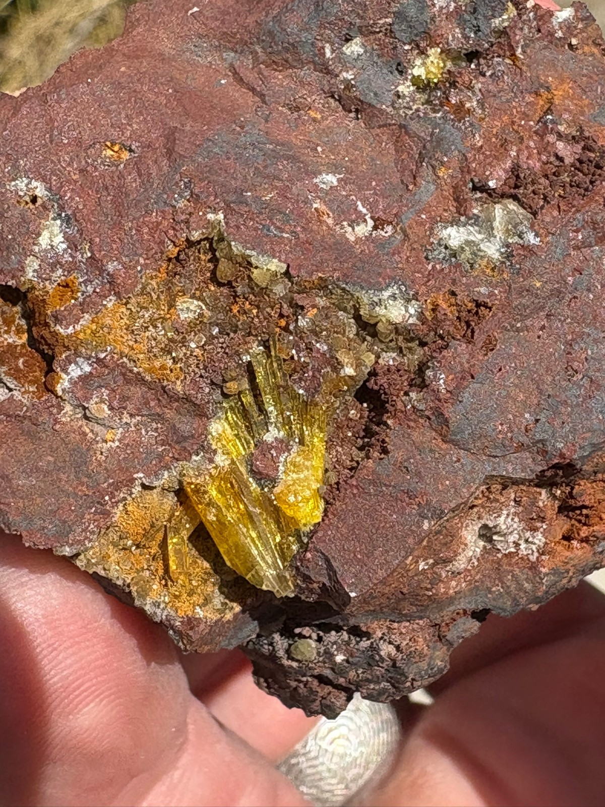 Legrandite crystal spray in matrix, Ojuela mine, Mapimi, Durango, Mexico