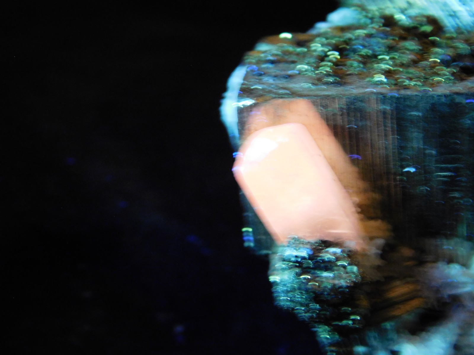 FLUORESCENT Calcite Crystal with PYRITE Crystal CUBES! From Peru 295gr