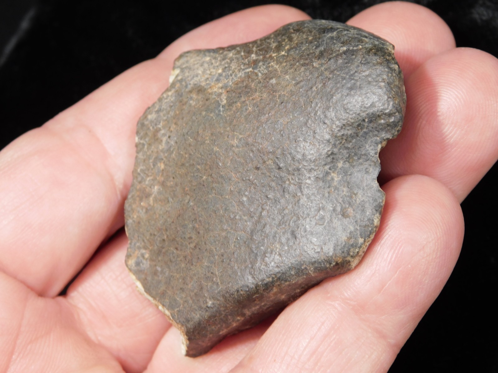 Stony METEORITE with DARK Fusion Crust and Contraction CRACKS 70.2gr