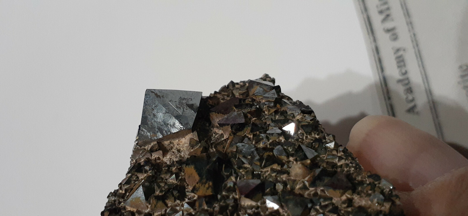 2 1/2″ X 2 1/4″ Magnetite 2 sided Display Specimen, Potosi, Bolivia – NYS Museum