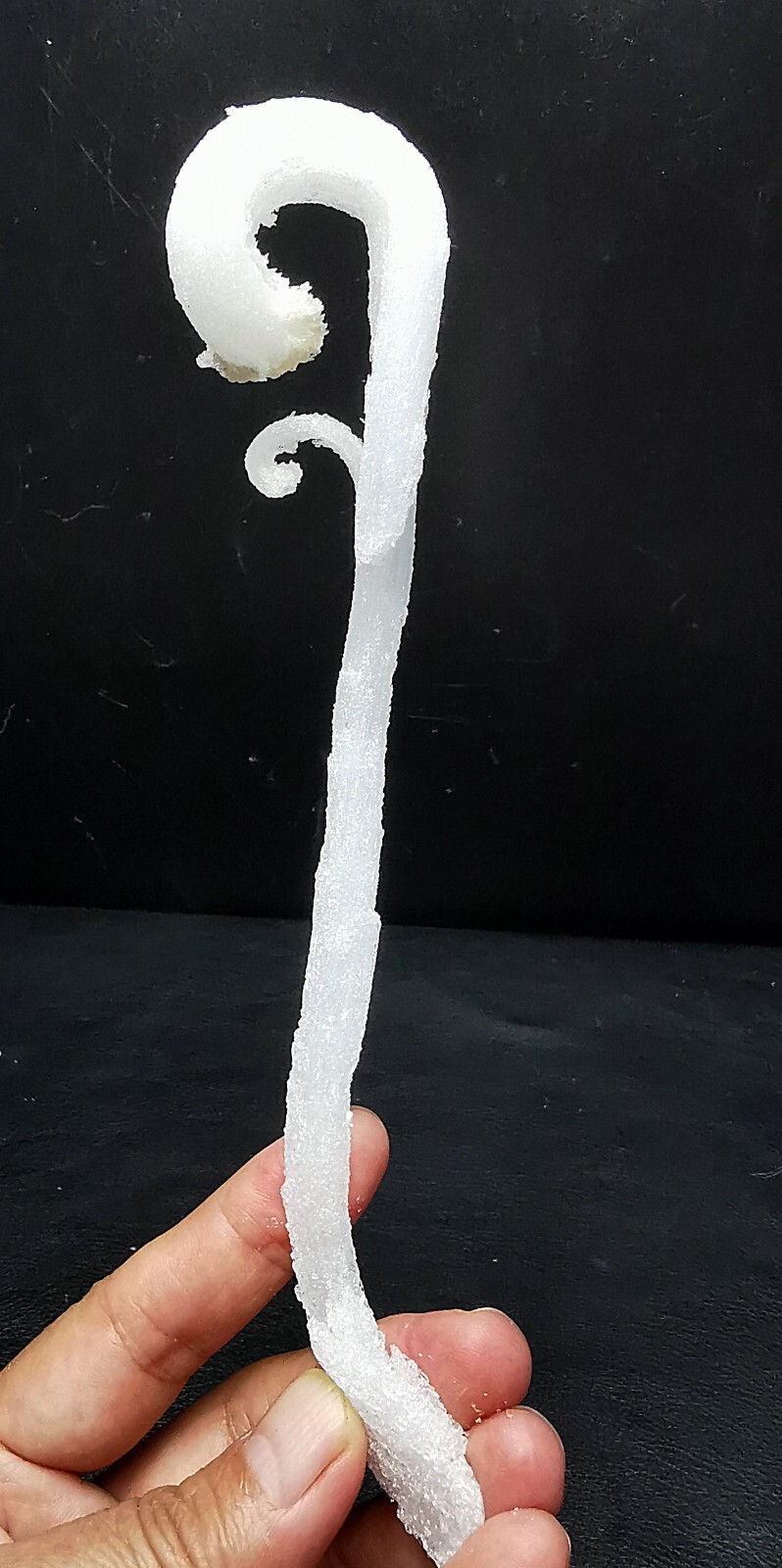 50gNatural ‘Ram’s Horn’ shape Selenite (Gypsum), Natural Mineral Specimen