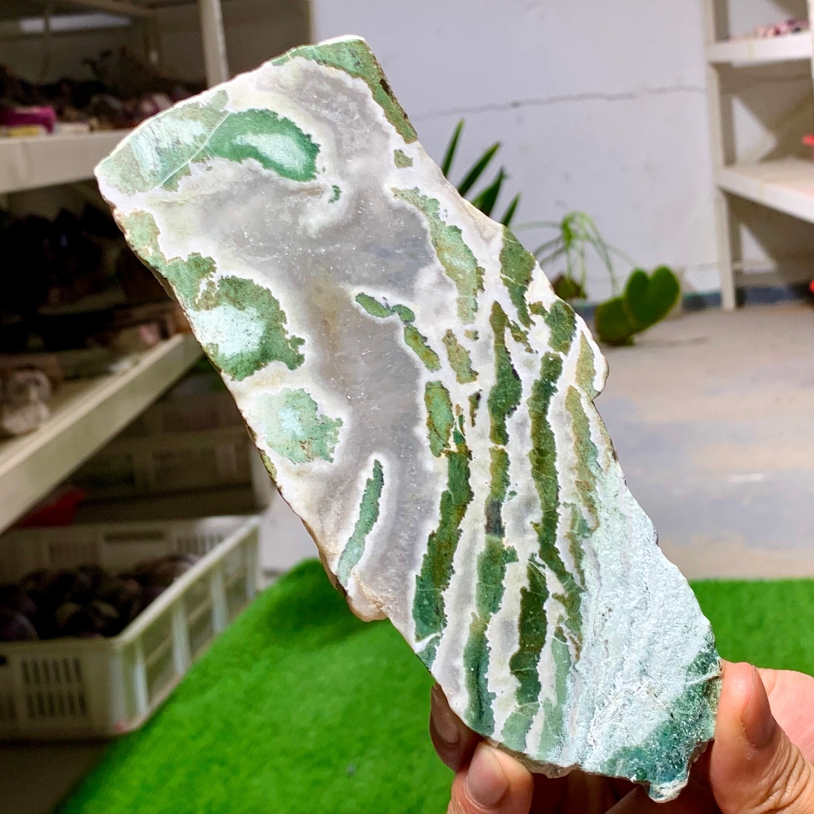 300G Natural green moss agate crystal raw stone flakes quart specimen