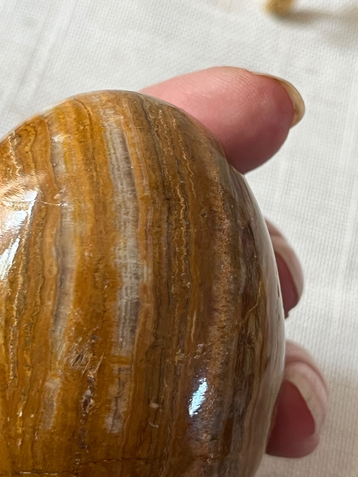 Gold Tripod dragons stand brown and reddish-brown stone Brazilian jasper egg..
