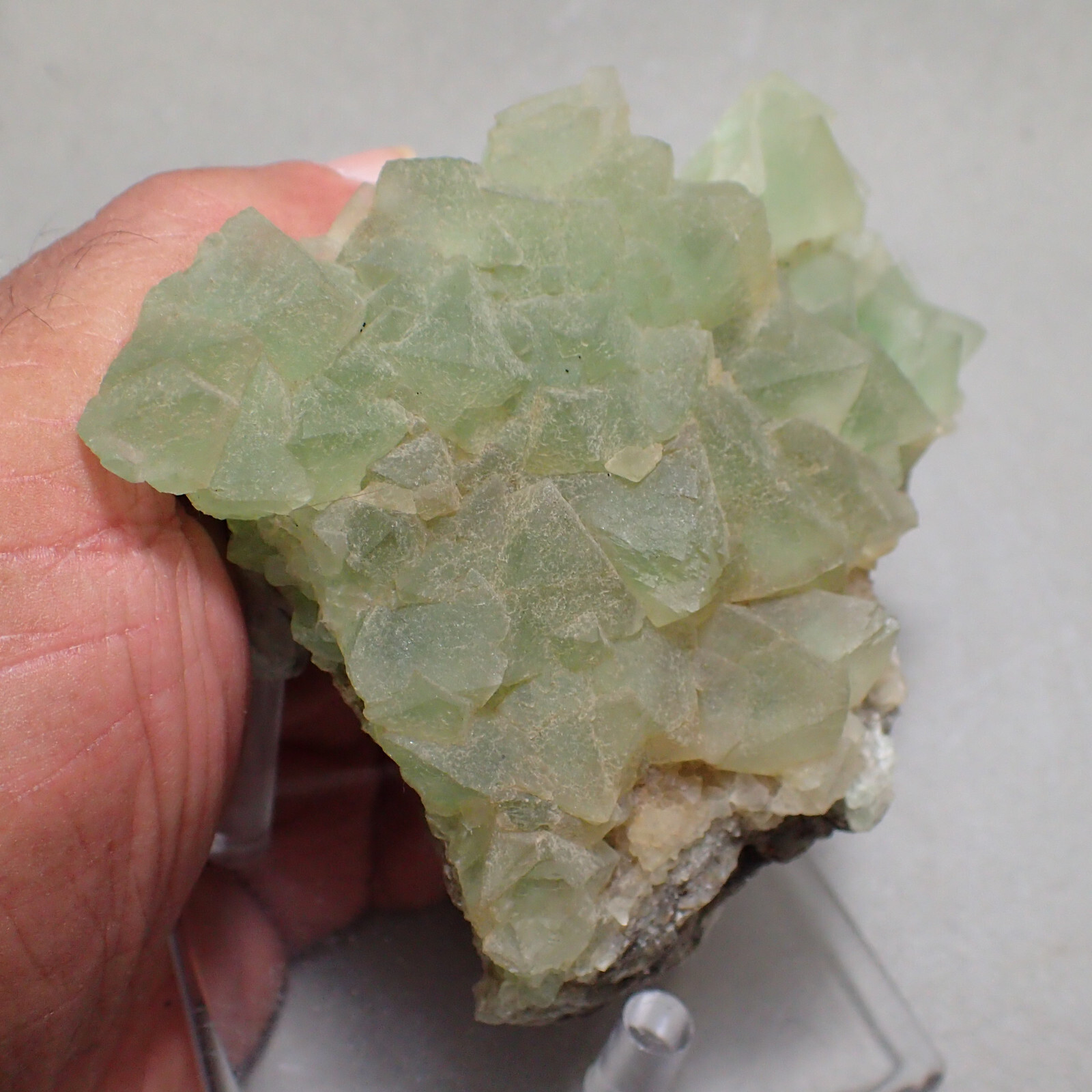 Fluorite, Hirschau, Gastein Valley. Salzburg, Austria