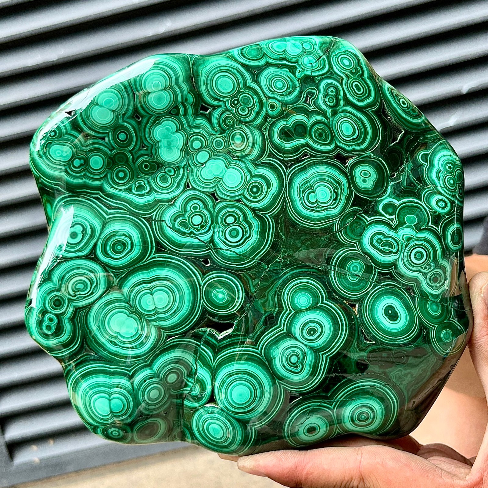 Natural Malachite Stone Polished Slab Bull Eye Pattern Display Decor 7.1 lb