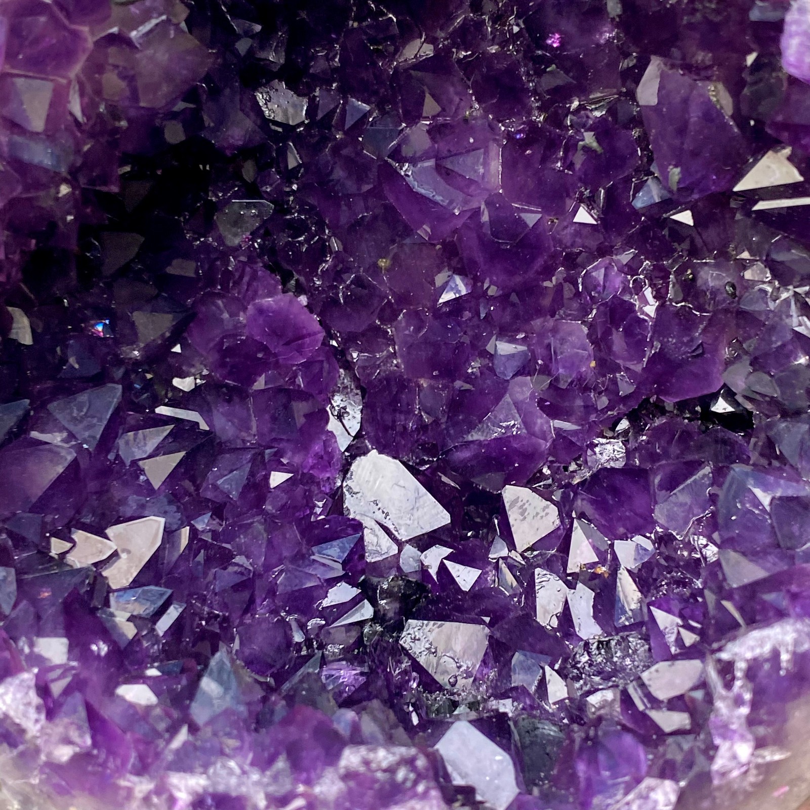 6.81LB High quality Natural Amethyst geode quartz crystal Dinosaur egg healing