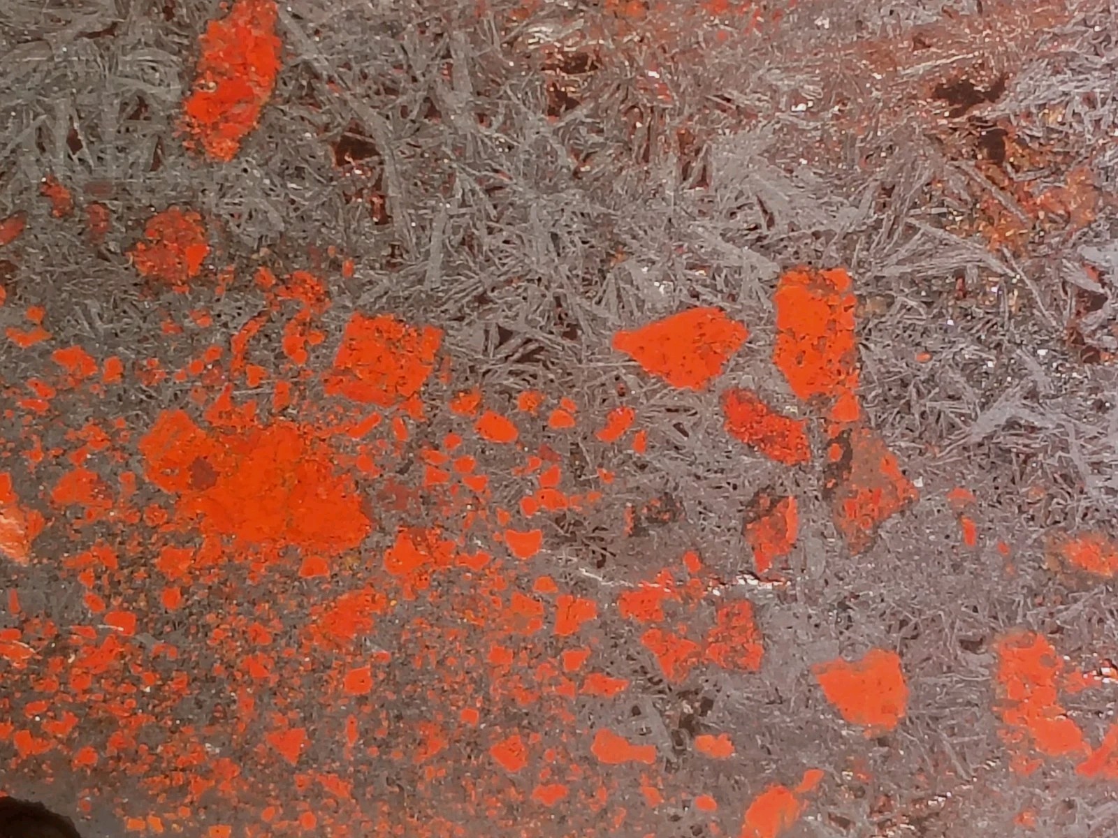 Massive! Shepard Mtn “Iron Rose” Brecciated Jaspellite Specularite Hematite MO.