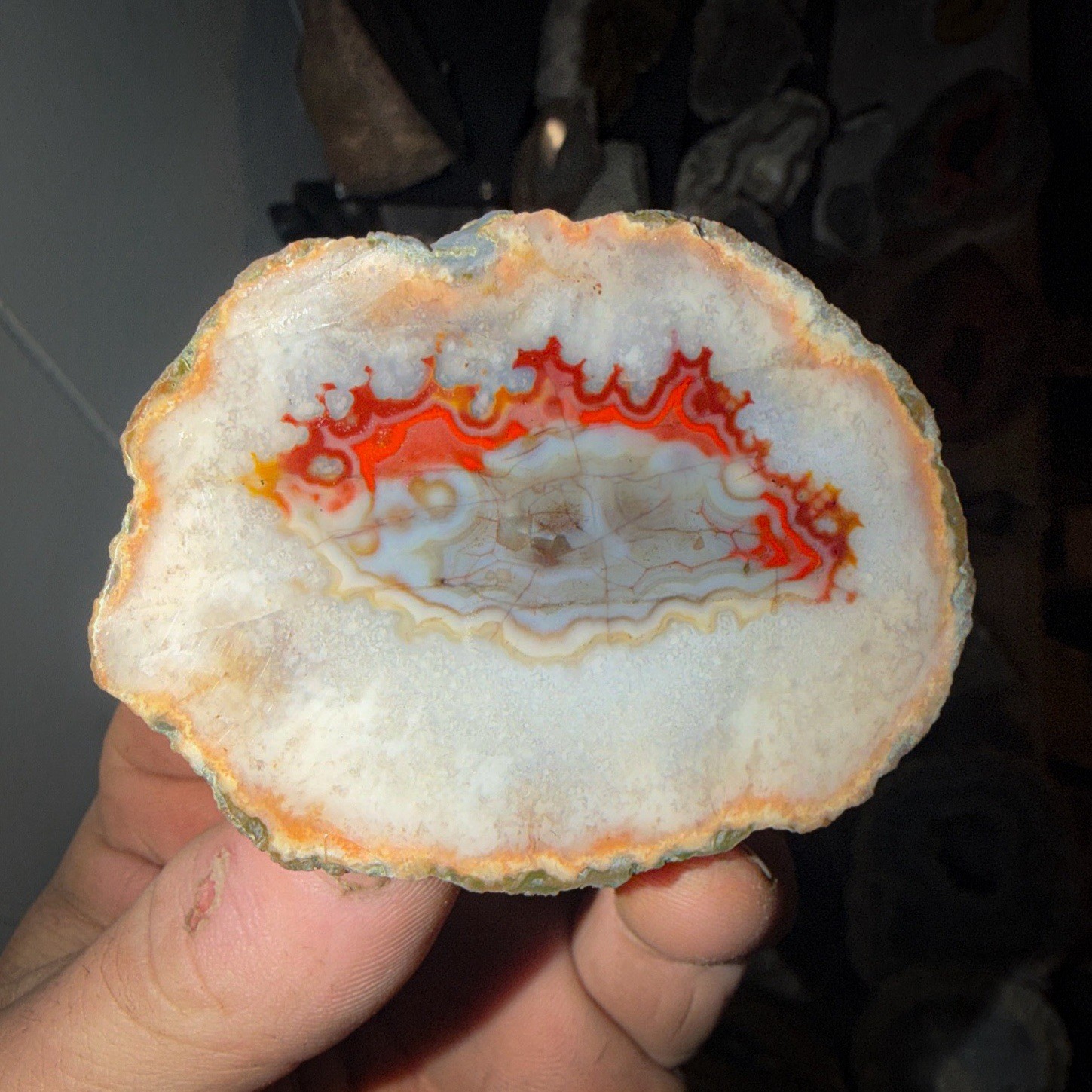 Imperial Kentucky Agate Specimen USA Red White And Blue Half Nodule Polished