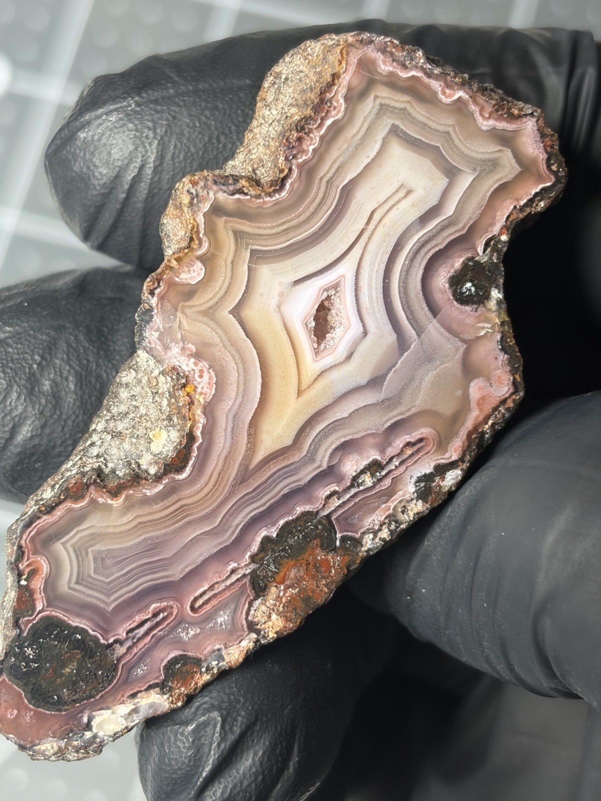 Excellent Purple Picacho Agate Mexico Banding Polished Specimen Laguna