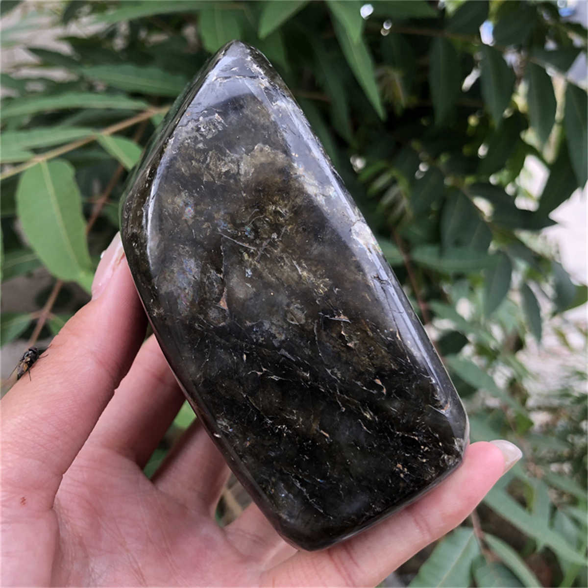 840g Natural Labradorite Mineral Quartz Crystal Mineral Reiki healing
