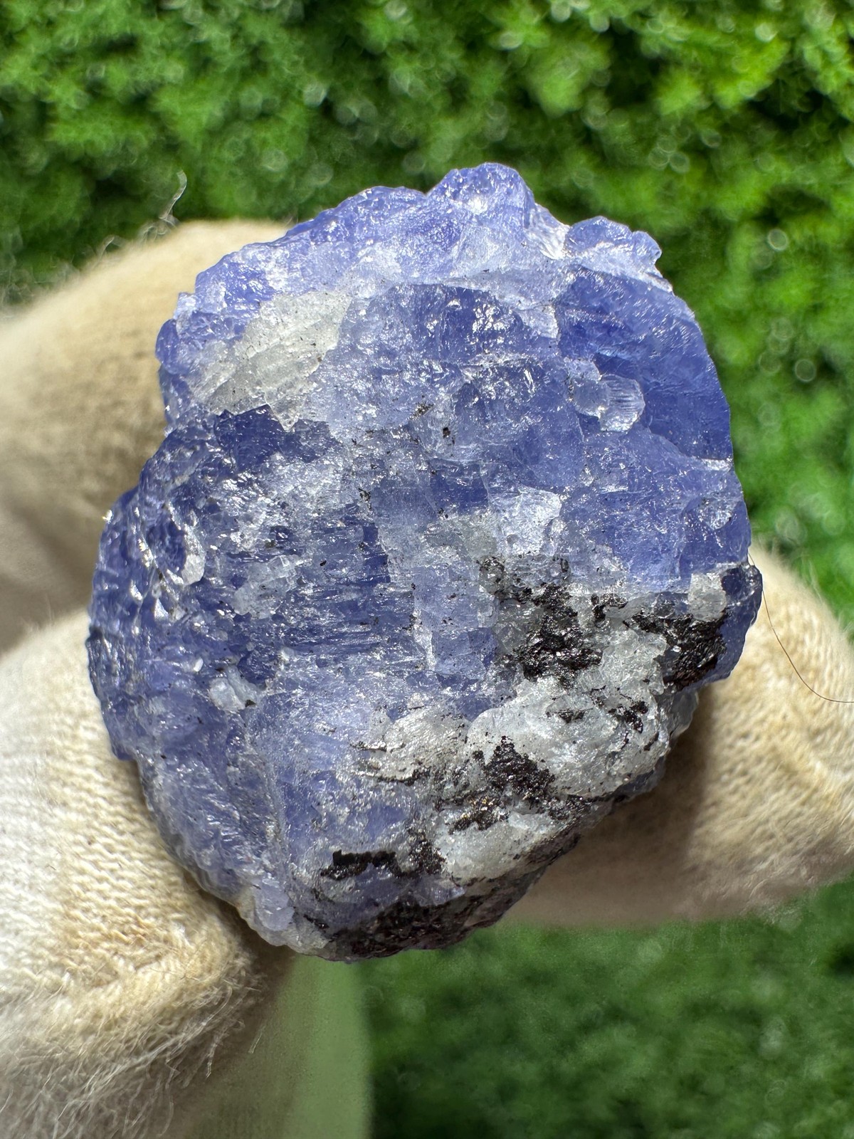 Lovely TANZANITE Crystal with COLOR CHANGE under yellow/white light / N384