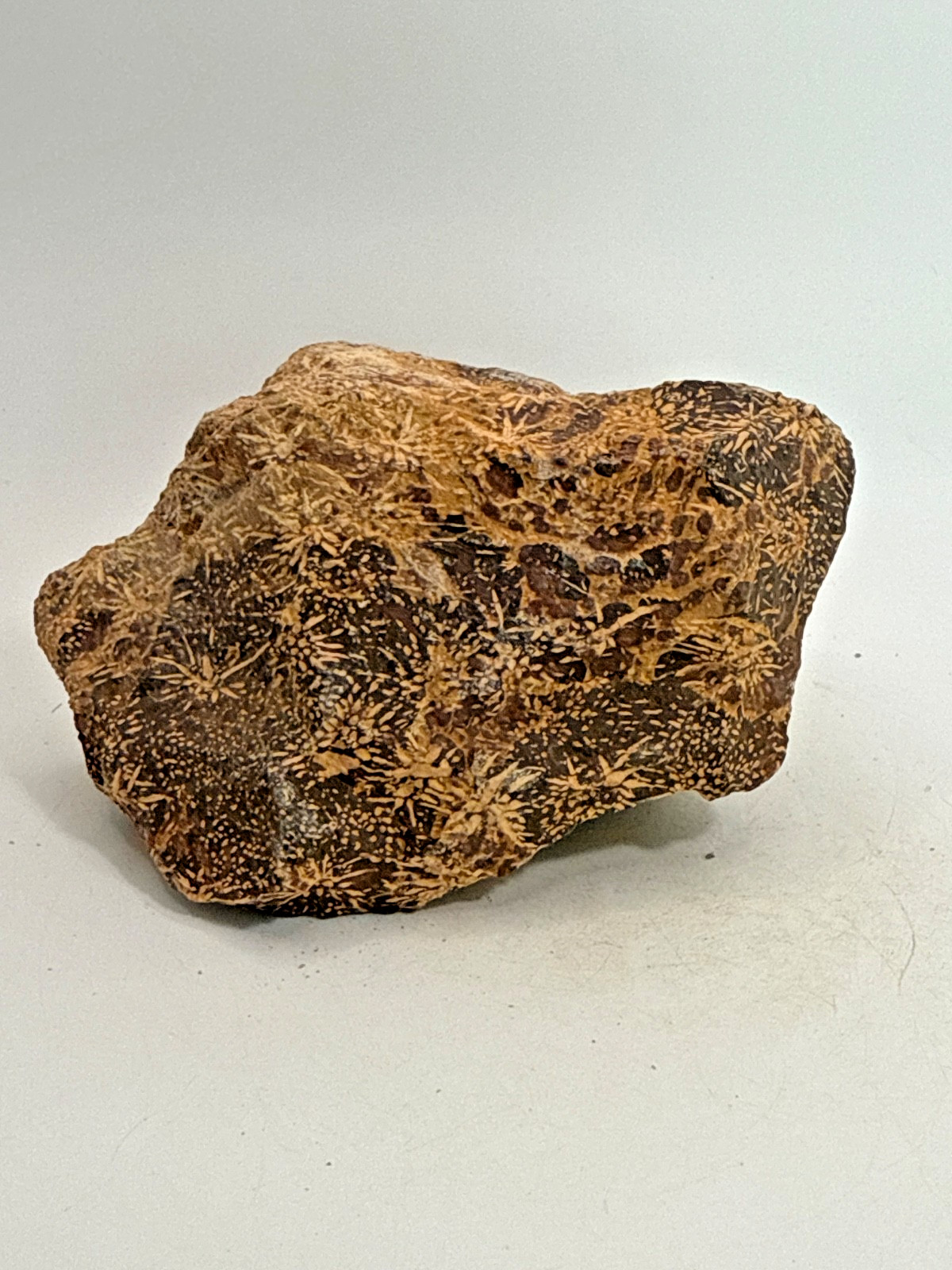 Beautiful Spider Jasper Chrysanthemum Specimen 491 Grams