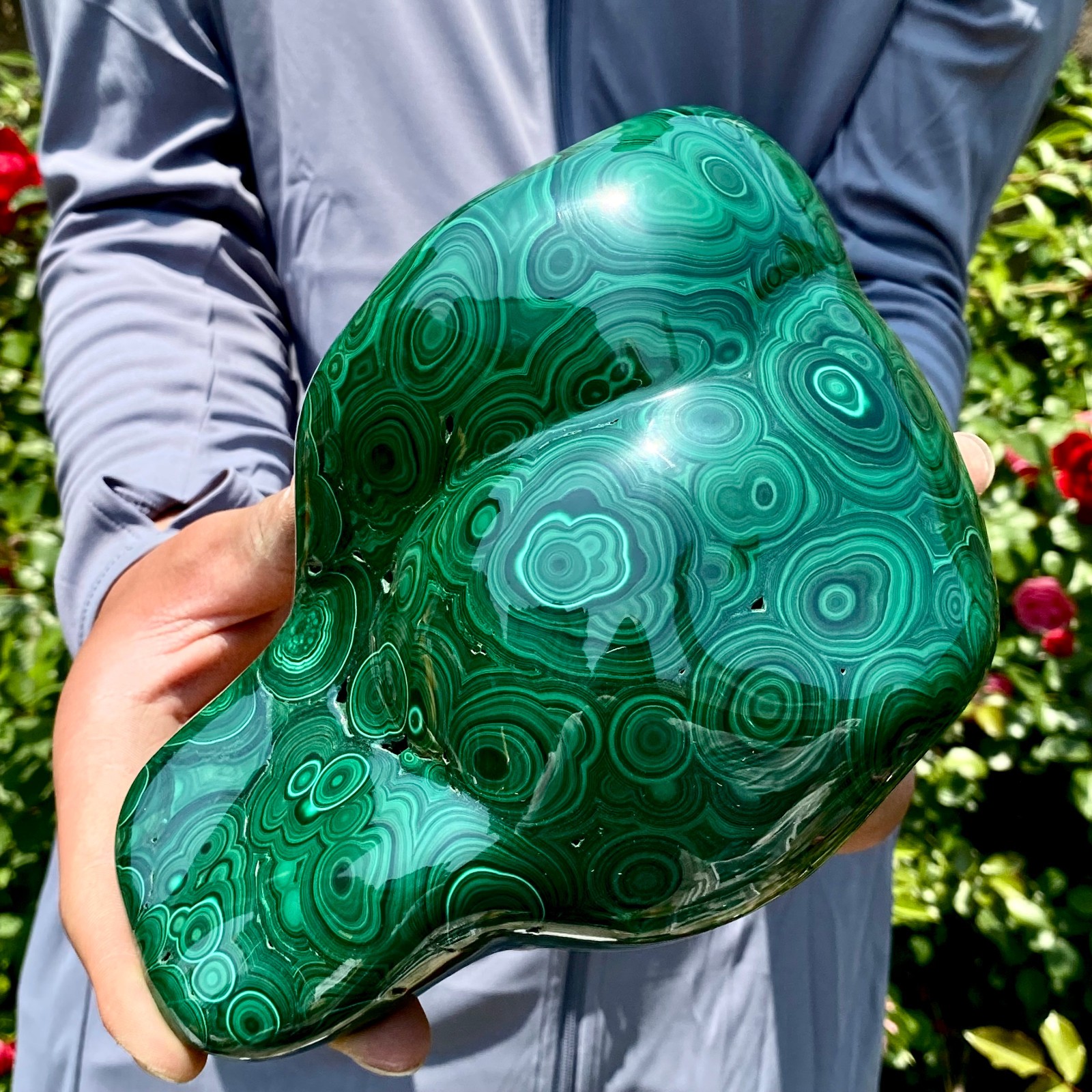 8.5LB Natural glossy Malachite egg transparent cluster rough mineral sample