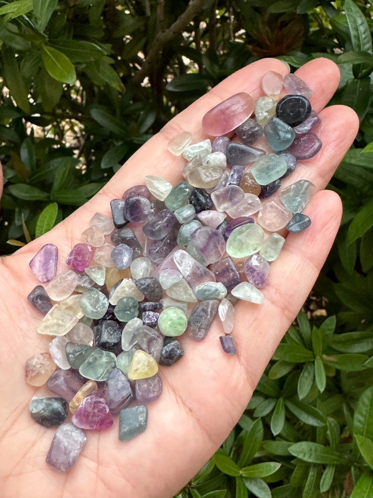Grade A++ Rainbow Fluorite Semi Tumbled Gemstone Mini Chips 5-12 mm, Bulk Lot