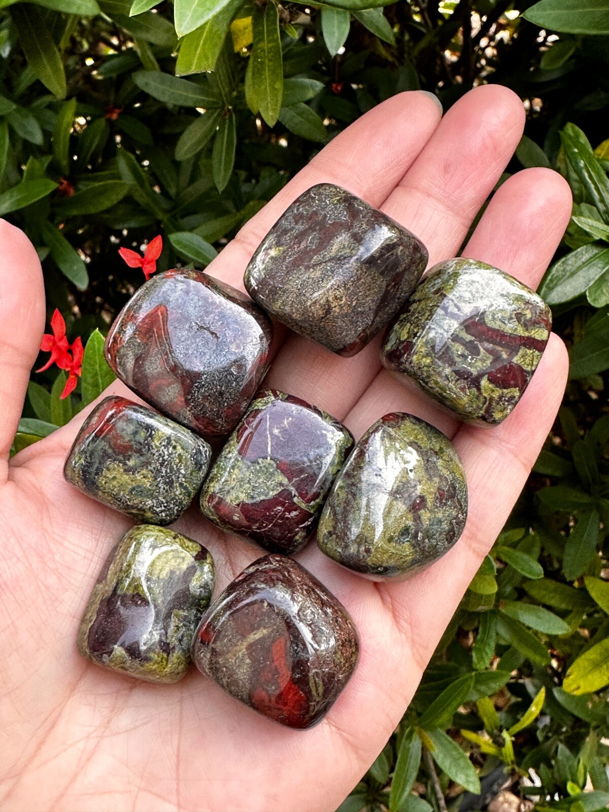 Grade A++Dragon Blood Jasper Tumbled Stones 0.75-1.25″, Wholesale Bulk Lot