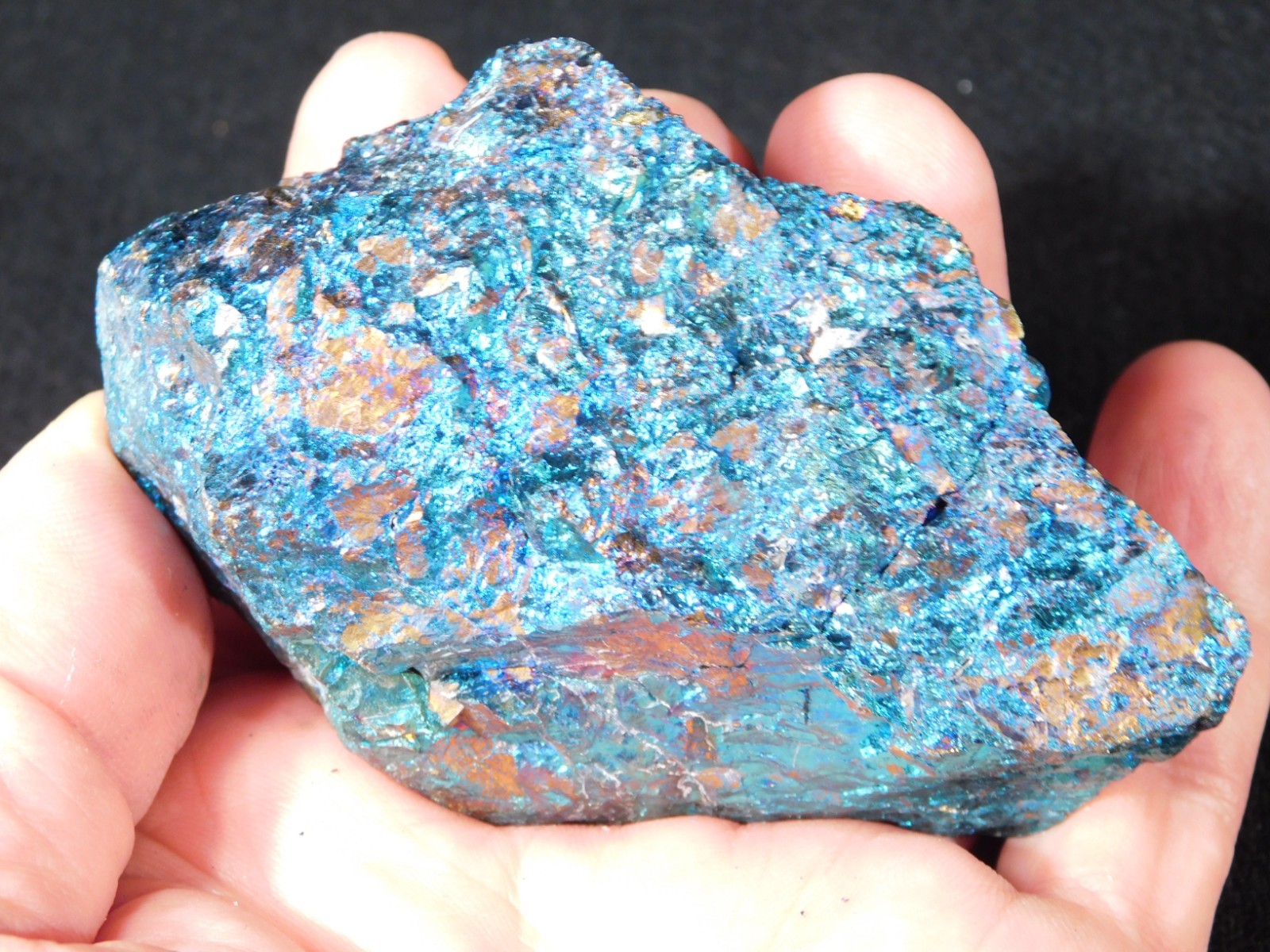 LARGER Bright IRIDESCENT Peacock Copper Chalcopyrite or Peacock Ore Mexico 347gr