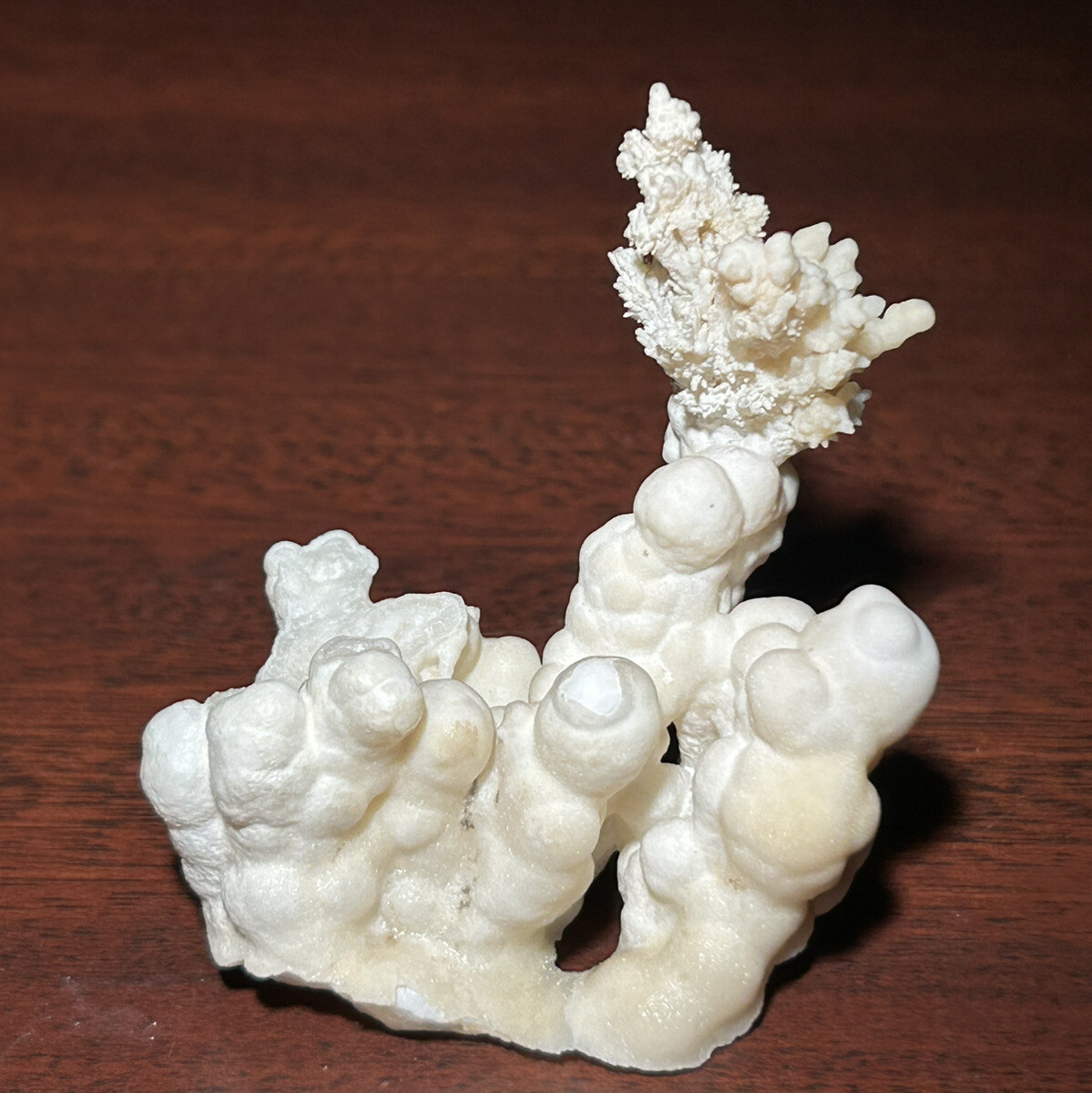 ARAGONITE on CALCITE – Stevenson-Bennett Mine, Doña Ana County, New Mexico