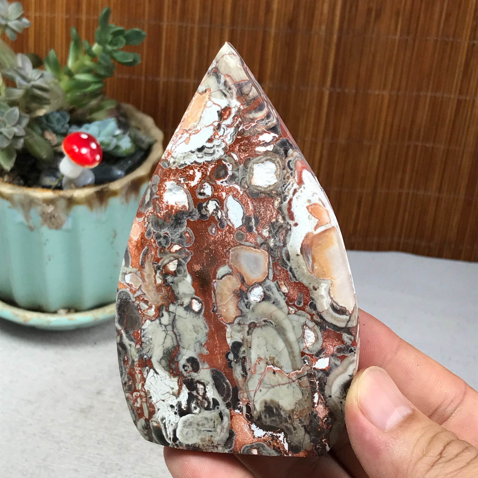Natural money Mexico agate hand carve leaf Crystal Specimen free standing A6260