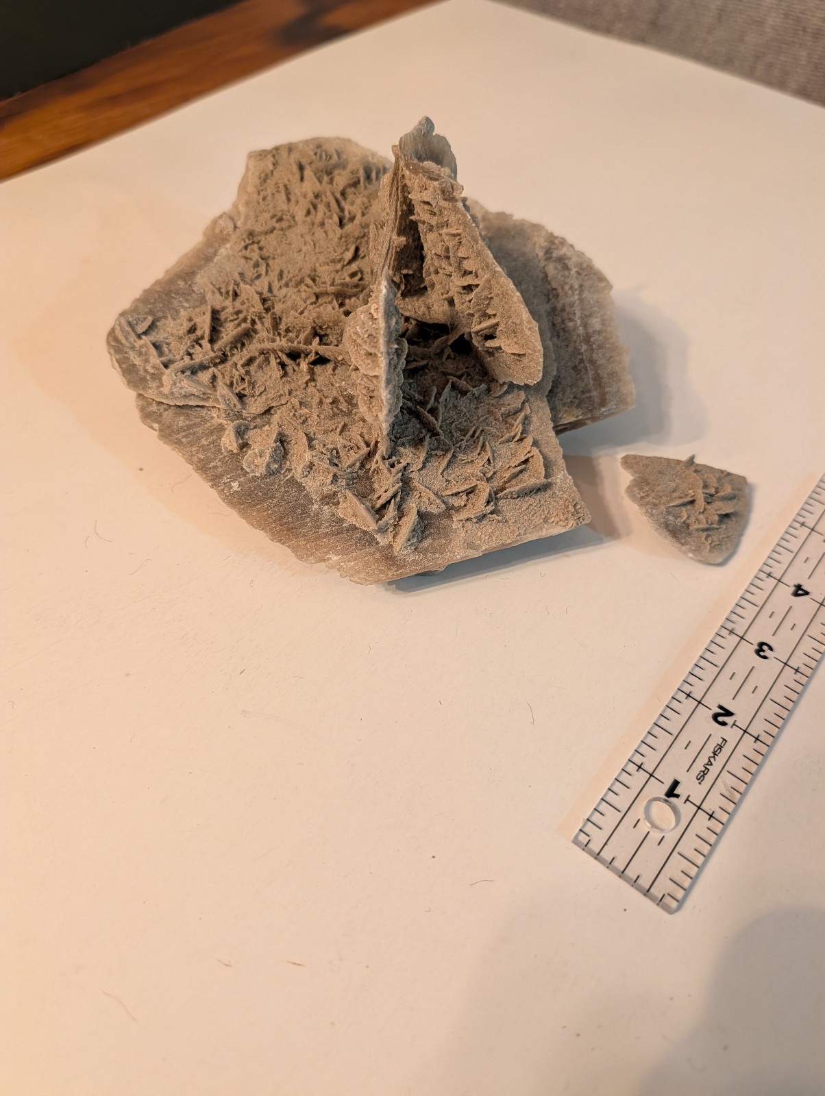 Large Desert Rose Selenite Gypsum Crystal Cluster Raw Mineral Specimen