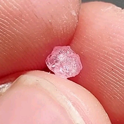 GORGEOUS PINK MONTANA SAPPHIRE