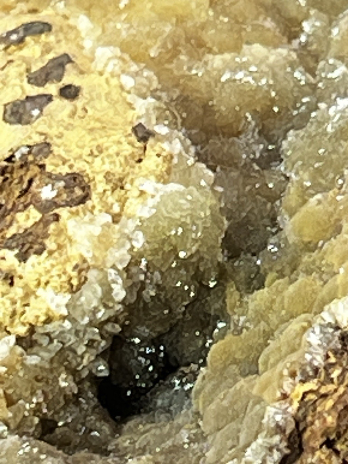 Smithsonite on Sphalerite from Ojuela Mine, Mapimi, Durango, Mex 1 Lb. 10.4 oz.