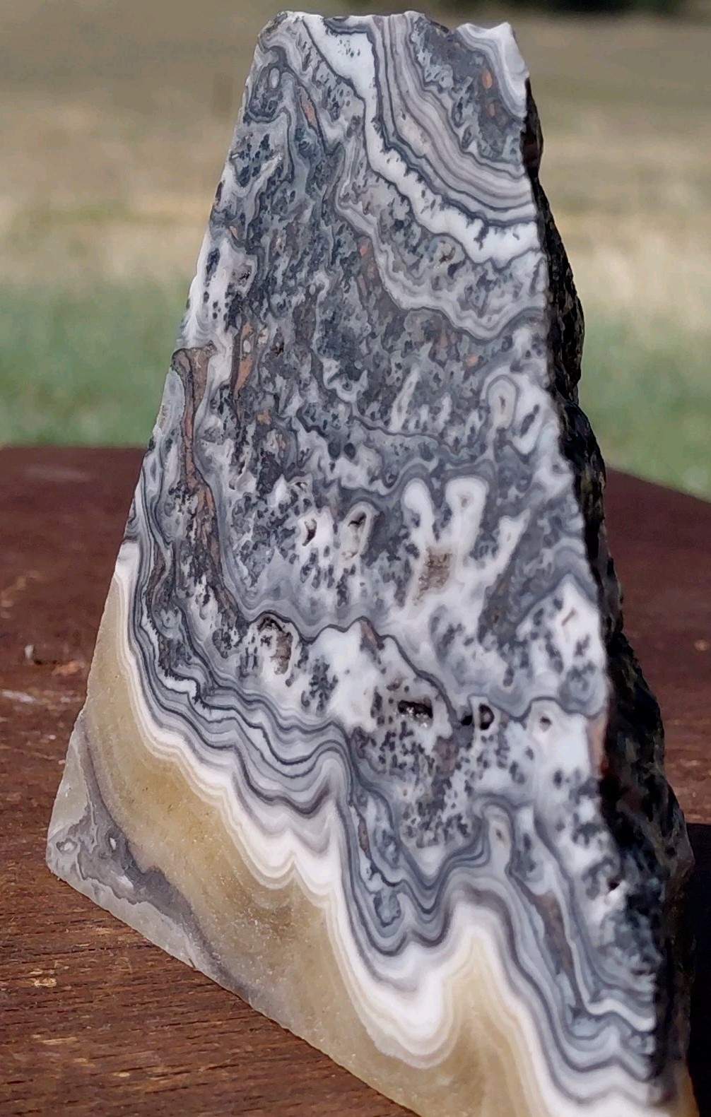 Zebra Calcite Polished Pyramid Dendrite Translucent Bands 3 1/4″x3 1/4″×2 1/2″