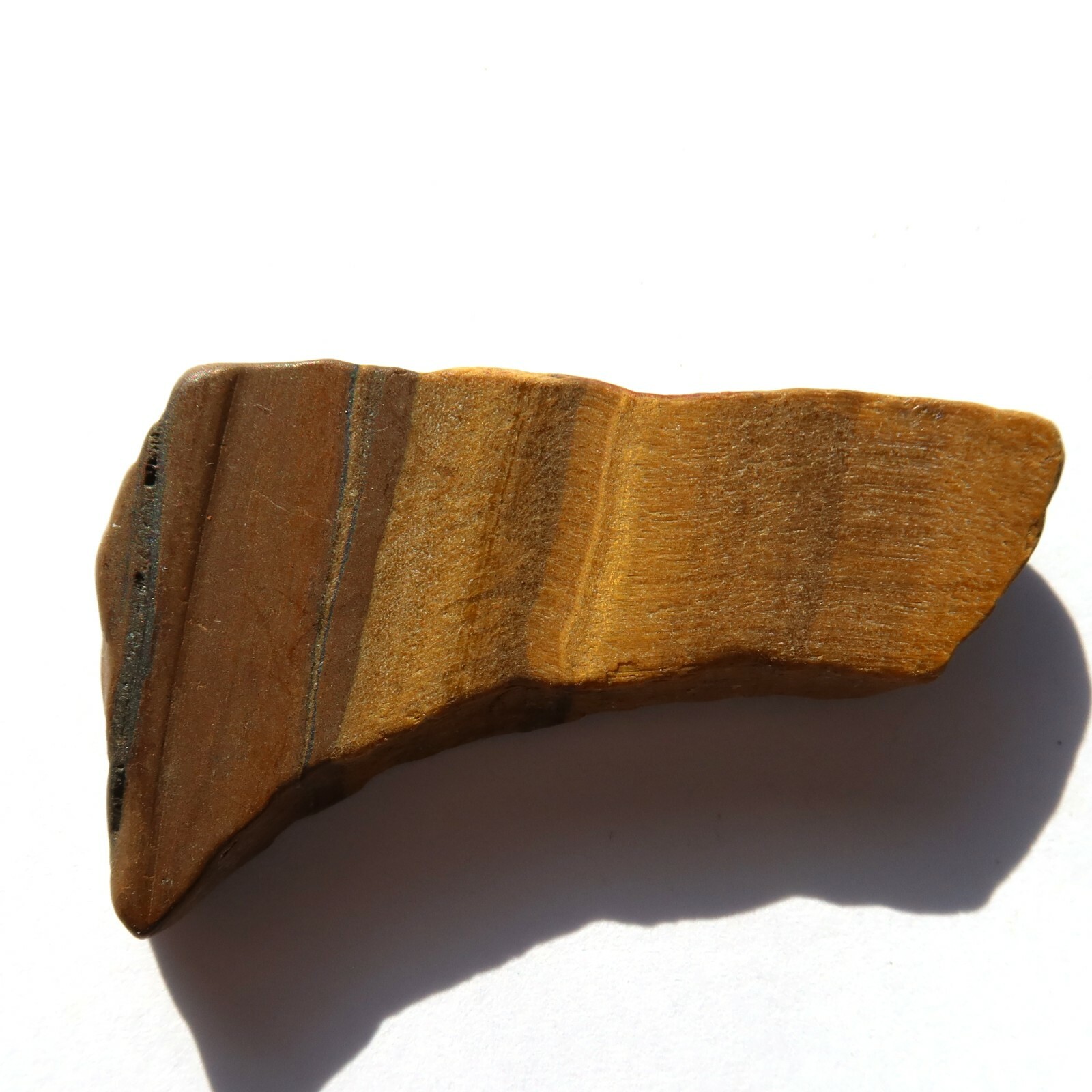Tiger Eye Slice NOT Polished JW177