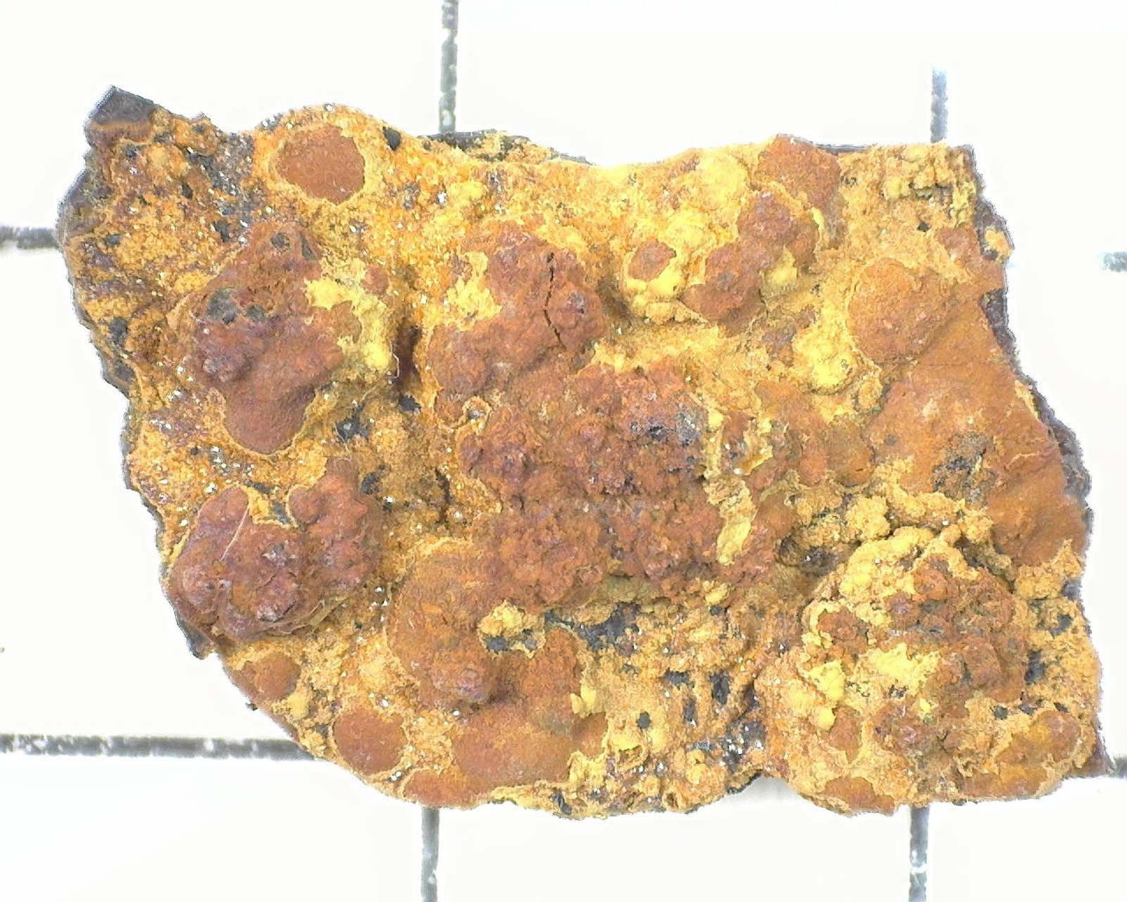 20043 MM Arseniosiderite Mina Ojuela Mapimi Mexico 2318