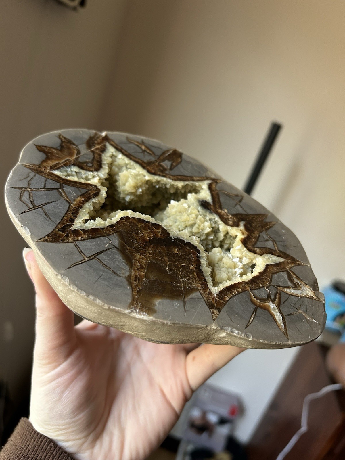 Dragon Stone