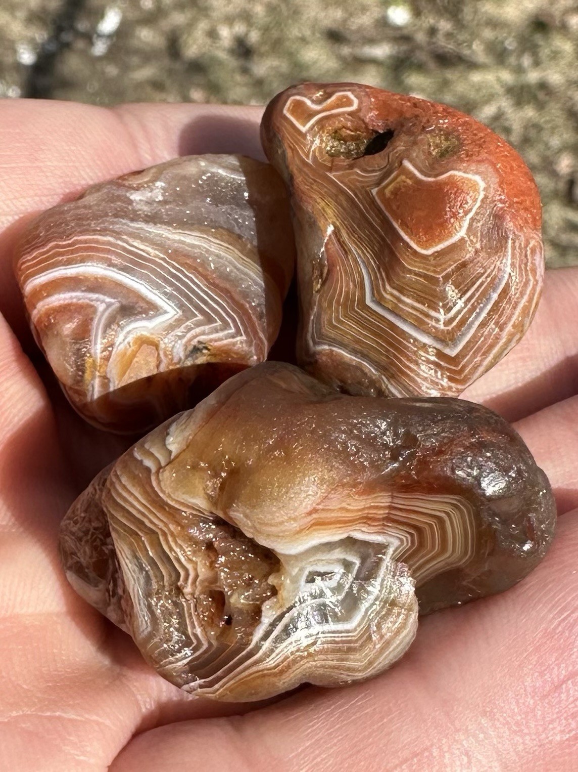 2.0oz Lake Superior Agate Bundle Of Natural Beauties!