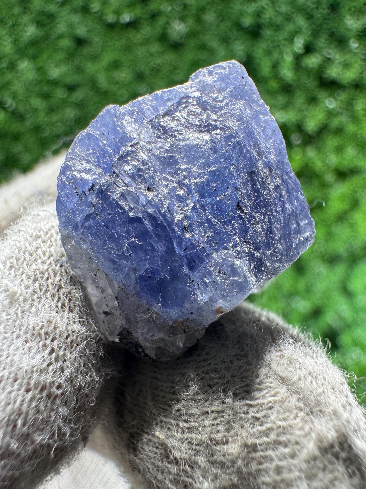 Rare TANZANITE Crystal with COLOR CHANGE under yellow/white light / N626