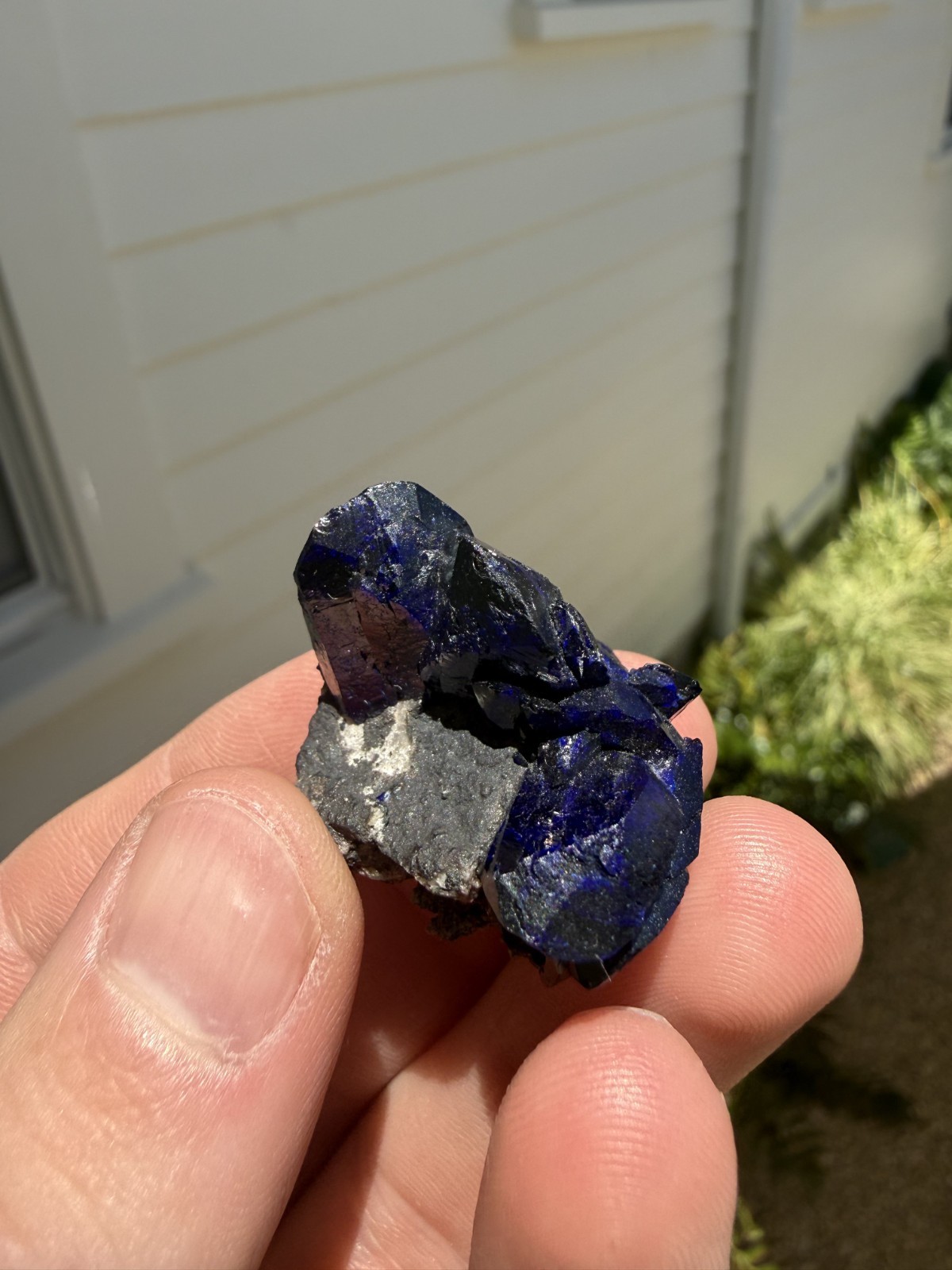 Azurite on matrix from Milpillas Mine, Mexico