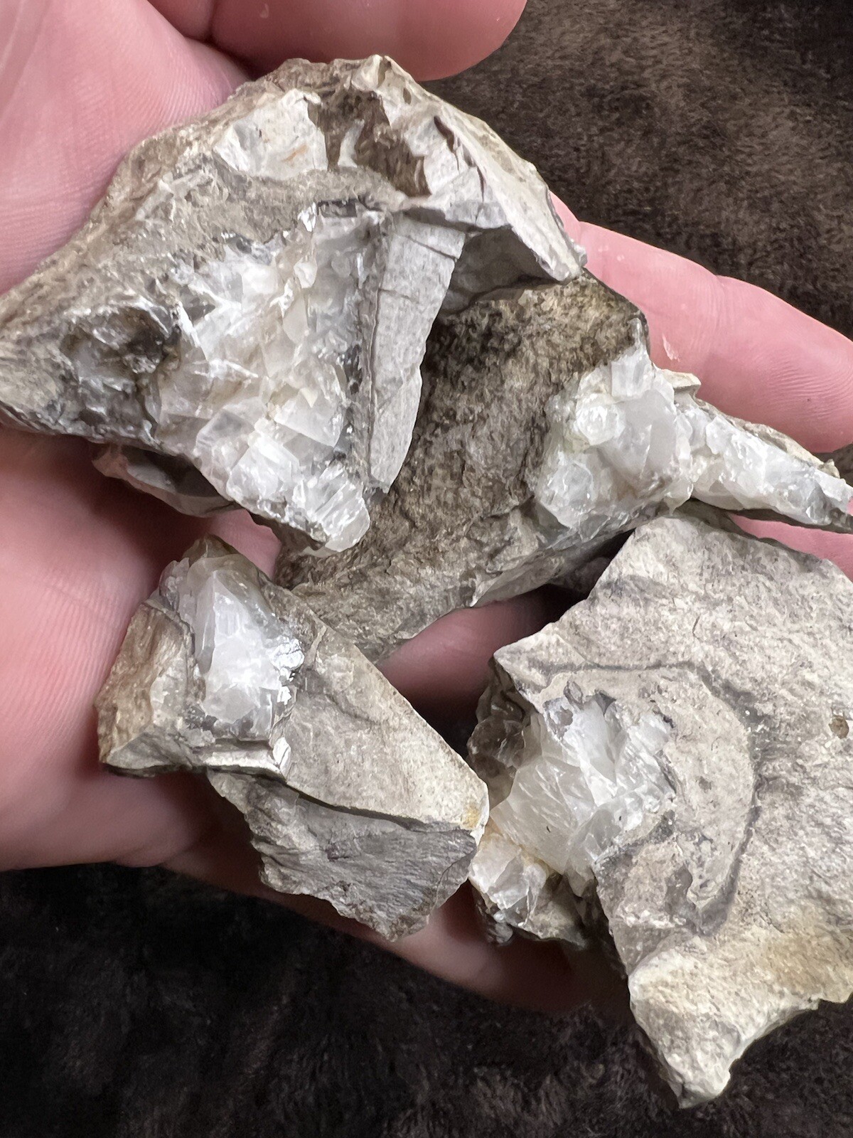 raw natural quartz crystal North East Mississippi Outcrop 5 Pieces
