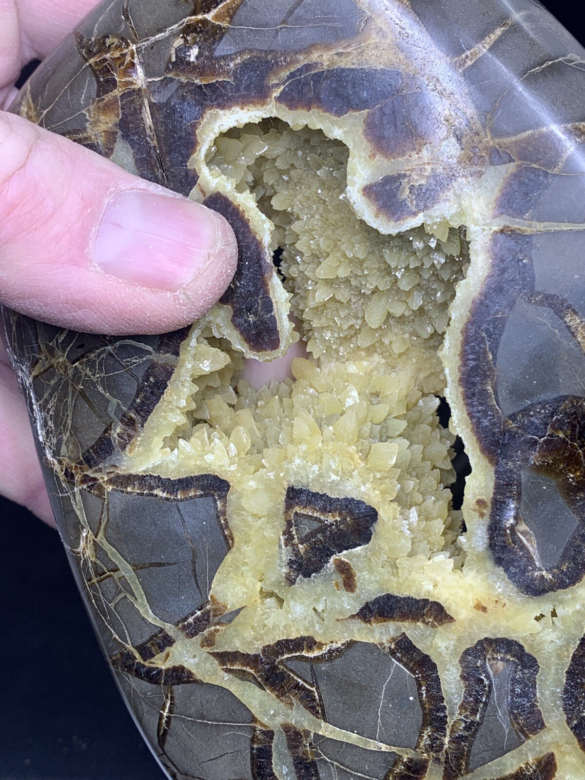 Septarian Nodule Hollow Slab,Dragon Stone ( Utah ) Stand And Description Card