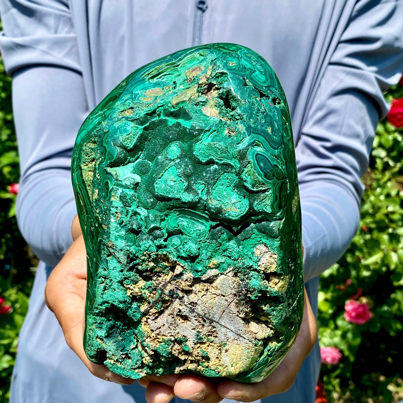 3.9LB Natural glossy Malachite egg transparent cluster rough mineral sample