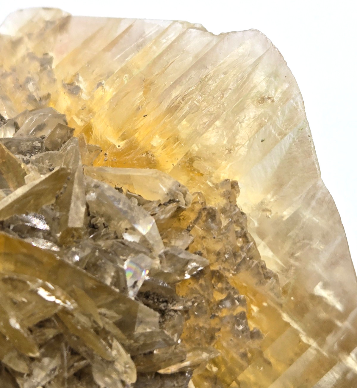 +++ GYPSUM VAR. SELENITE RED RIVER FLOODWAY, WINNIPEG, MANITOBA, CANADA +++
