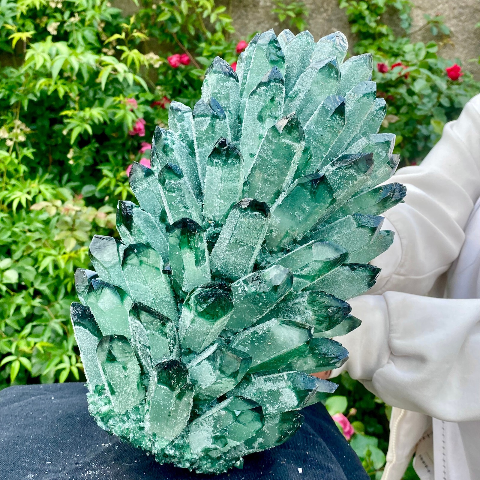 18LB New Find green Phantom Crystal Quartz Cluster Mineral Specimen Healing