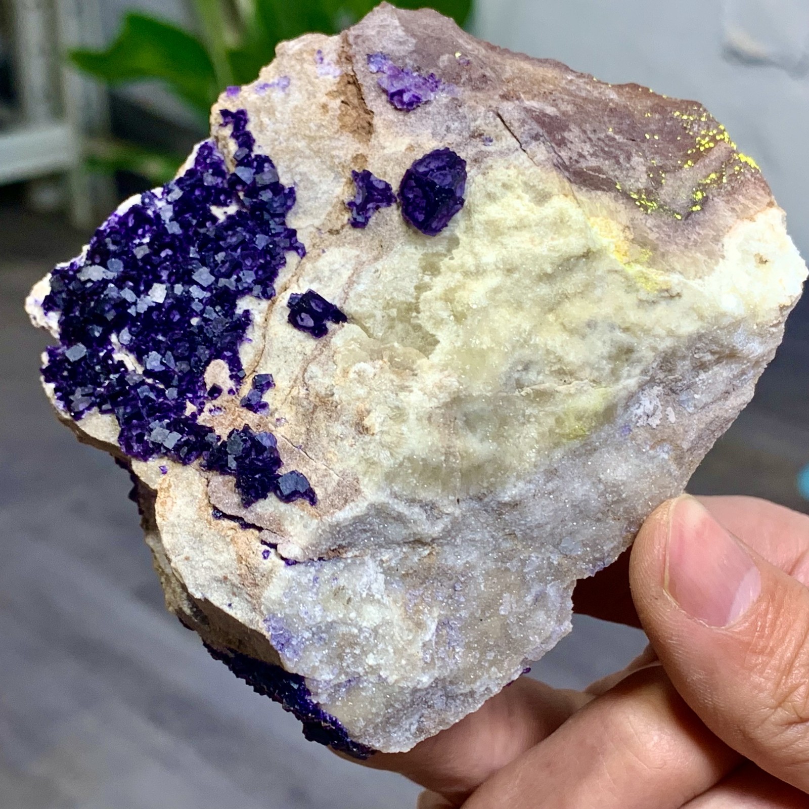 248G Rare transparent purple cubic fluorite mineral crystal sample/China